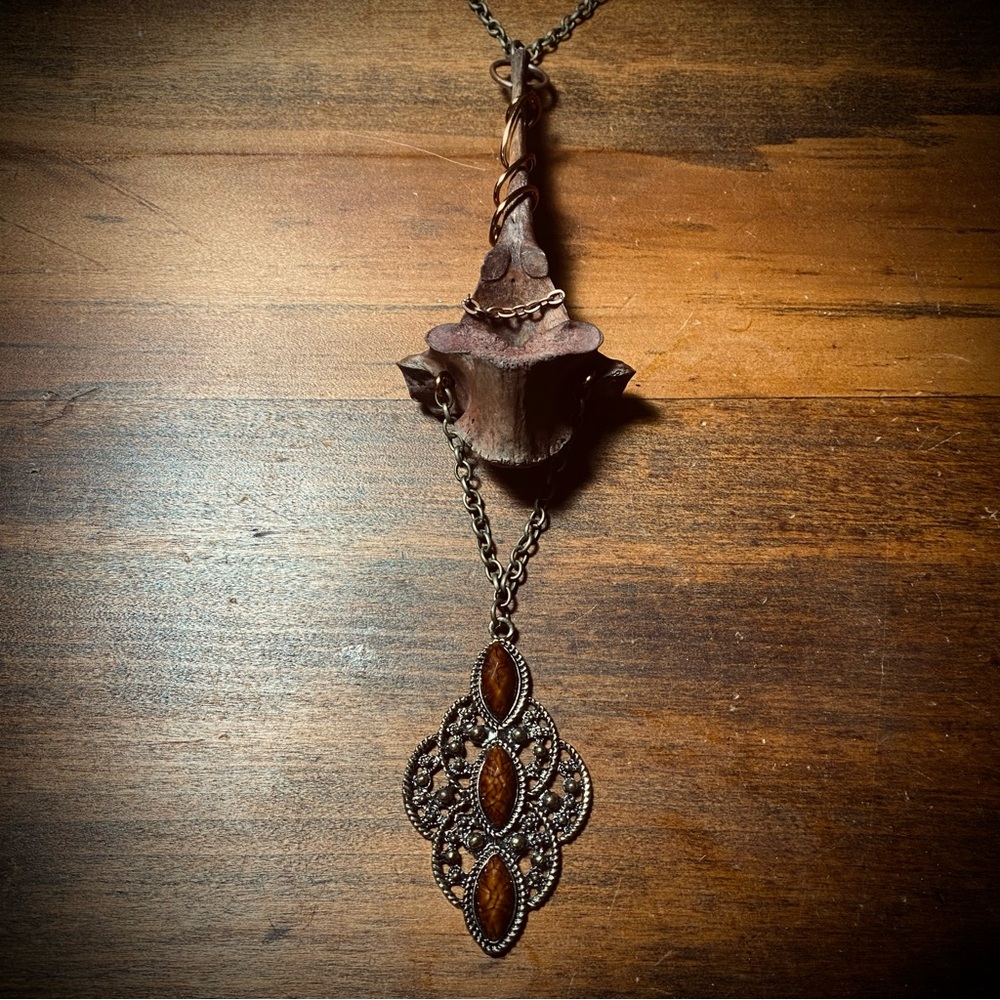 Dyed Deer Vertebrae Bone Copper Wire Brass Chain Necklace - Picture 2 of 12